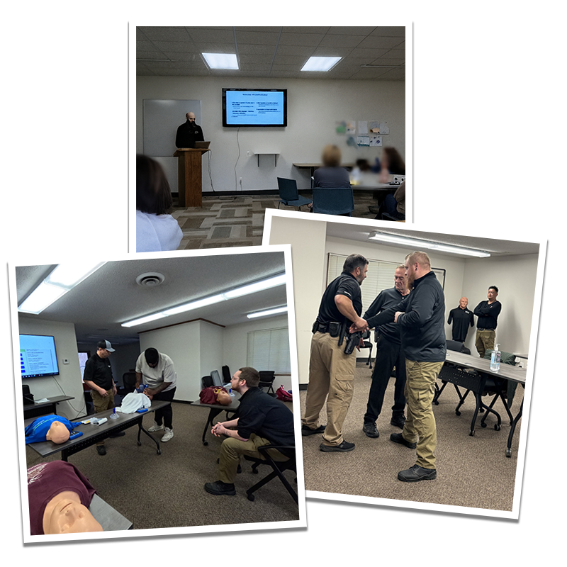 Consulting & Training Services